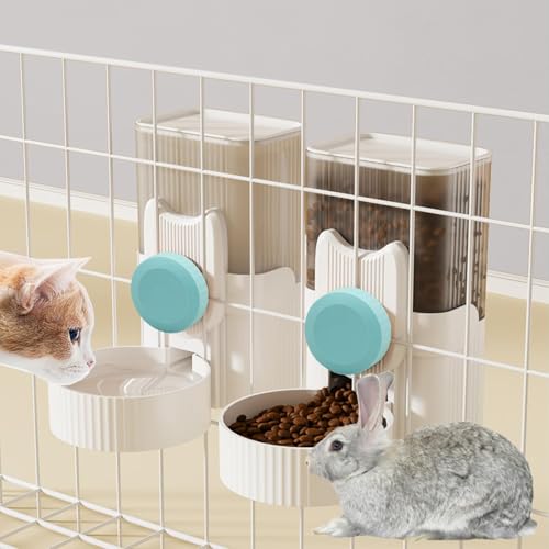 Can Automatic Rabbit Feeders Simplify Your Routine?
