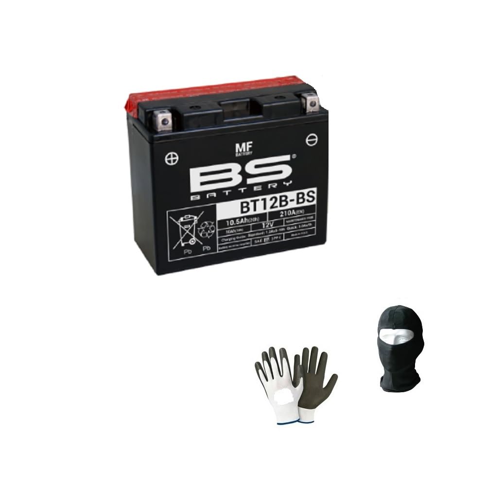 Batería Tecmium YT12B-BS Activada Para Yamaha FZ6 Fazer ABS S2 600 (2004-2006) Y Otras