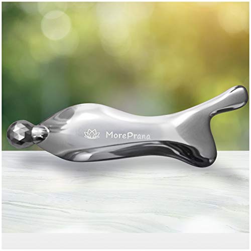 Titanium Gua Sha Deluxe Massage Tool with Roller Ball - for Trigger Point Relief, Soft Tissue Mobilization Therapy, Facial Skin Care, IASTM, Muscle Scraping, Myofascial Pain Release