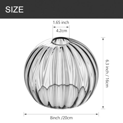 Image of Clear Glass Shade,Replacement Globe & Cover for Lighting Fixture, 8 inch Diameter, Replacement with 1.65 Inch Fitter for Wall Lamps Chandeliers or Ceiling Light (1, 8Inch - Gray Glass)