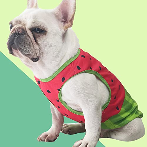 Chaleco de enfriamiento para perros pequeños con estampado de sandía HMJGDHX 5