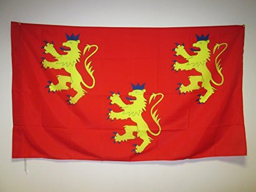 AZ FLAG, French Department of Dordogne Flag, 2x3 Ft, Department of France Banner with Sleeve, 100% Polyester, Fade Resistant