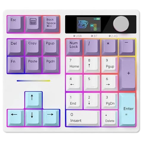 FKZ X BOYI TD31Pro Number Pad Keyboard,Hot Swap Mechanical Numeric Keypad with Knob& Screen Wireless BT5.0/2.4G/Type-C Wired Numpad with RGB Gasket Structure Programmable for Win/Mac/Gaming (Purple) Cover