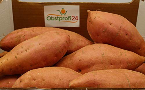 Süßkartoffeln 5kg frische Kiste Obst & Gemüse - Obstprofi24