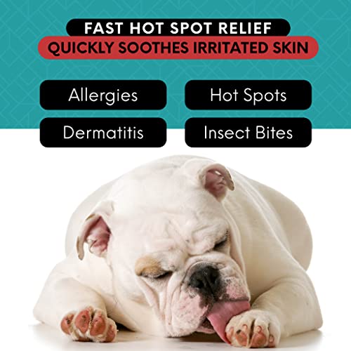 Hot Spot Formula Extra Strength Hot Spot Treatment for Dogs and Cats  Soothing Anti Itch Relief for Lick Granuloma Dermatitis and Rash Eases Skin Irritation with Hypochlorous Acid 3 Oz  Cucciolini Doodles Hot spot formula extra strength hot spot treatment for dogs and cats  soothing anti itch relief for lick granuloma dermatitis and rash eases skin irritation with hypochlorous acid 3 oz   cucciolini doodles