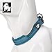 Truelove Dog Collar Reflective Premium Duraflex Buckle,High Grade Nylon Webbing No Choke Basic Collars TLC5011(Blue,M)