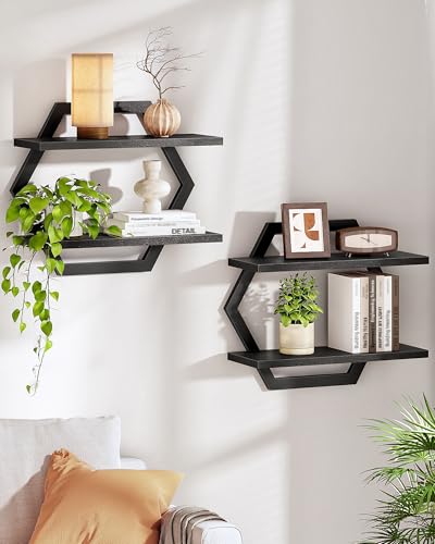 CHOEZON 2-Tier Hexagon Wall Shelves