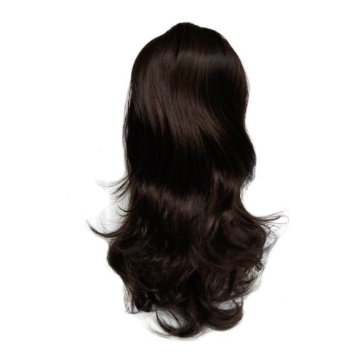 Hothair - Chic - Extensions cheveux - Queue de cheval - Clip - 50 cm - Cuivre chocolat