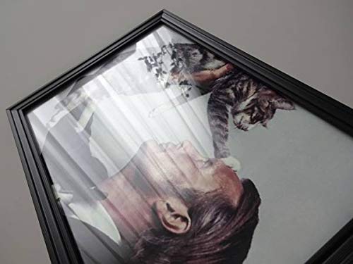 Amazon.co.jp: アートフレーム§A4額 写真ポスター付§マッツミケルセン