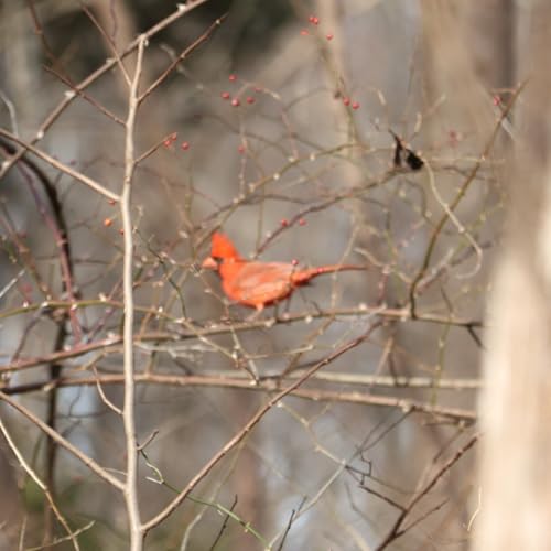 Coping with death in a new light