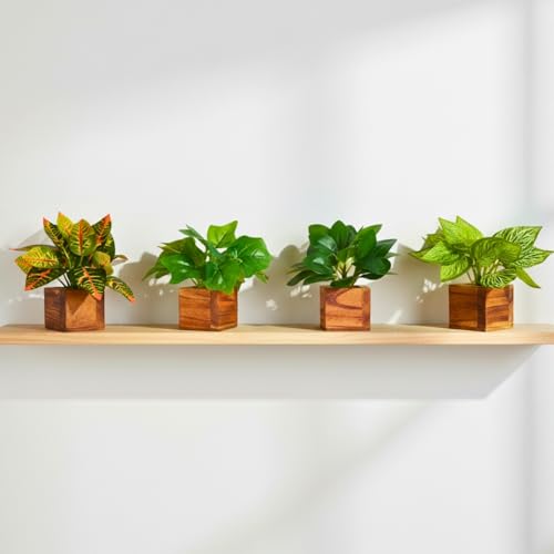 Image of DecoreBugs Artificial Leaves Potted Plants in Wooden Pot (4 Pack) Money Plant | Small Plants for Home Decor | Office Decor