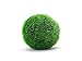 Terrarium Kit With Live Marimo Moss Balls - Small Glass Bottle Starter Set for Easy Indoor Plant Terrariums - Natural Centerpiece for Home Decor / Unique Gift Ideas by Aquatic Arts