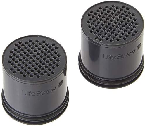 LifeStraw Carbon Capsule Replacement Filter for Go Bottle 2-Stage & Steel (2-Pack)