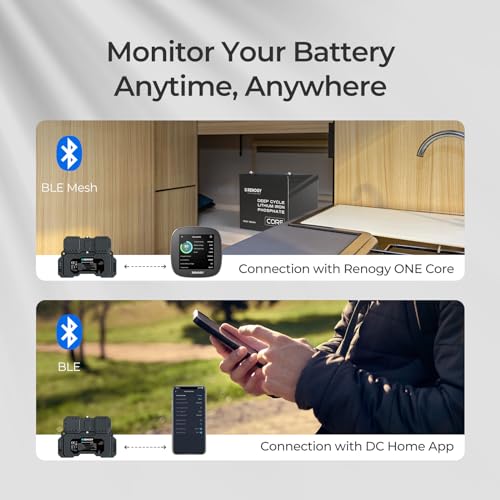 Shunt de batterie Renogy 300A avec Bluetooth intégré pour moniteur LFP et plomb - 4