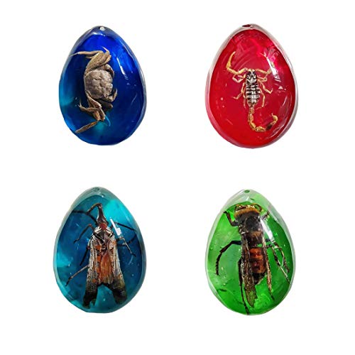 Qing Hui 1pcs Color Amber Fossil with Insects Samples Stones Resin Amber Butterfly Insect Stone Beautiful Pendant Necklace Baltic Amber (Random Pattern)