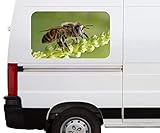 neueste Technik: beeindruckende Farbkraft durch Latex-Druck (geruchsfrei, umweltfreundlich)