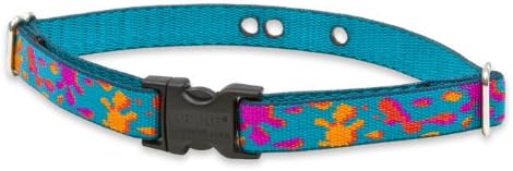 LupinePet Originals 3/4" Wet Paint 9-12" Containment Collar Strap for Small Dogs