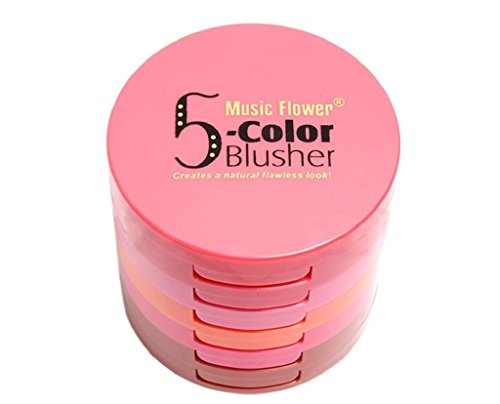 Axcv5 Waterproof 5 Colors Blusher Palette With Blush Brush Mirror