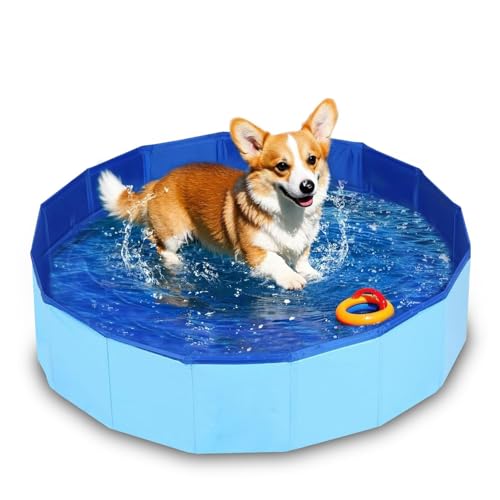 Hundepool Faltbar 50x8cm Faltbarer Pool Planschbecken für Haustiere Faltbare Katzenpool Robustes Planschbecken Pool Swimmingpool Hundebadewanne Faltbarer für Hunde und Katzen