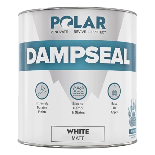 Polar Anti Damp Paint