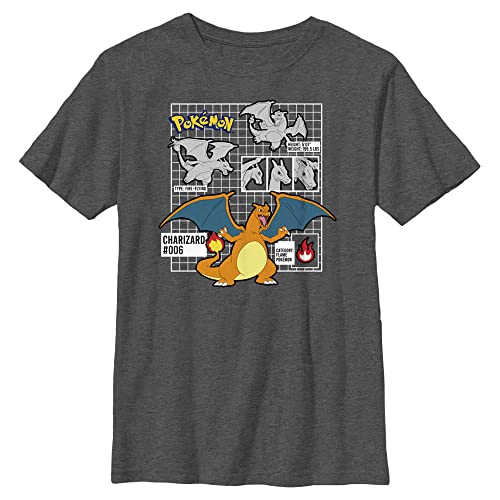 Pokemon Unisex Child Poke Charizard Highlight Boys Short Sleeve Tee T-Shirt Charcoal Heather Medium US