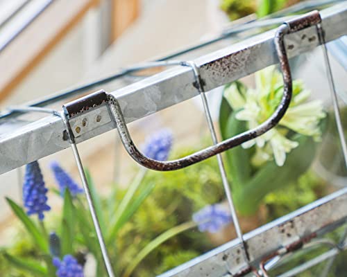 Esschert Design Gewächshaus m. verschließbarem Deckel, Pflanzenhaus Größe S, 29,3 x 15,4 x 26,4 cm, Eisen/Glas mit Tragegrifff, stabile Standfüße