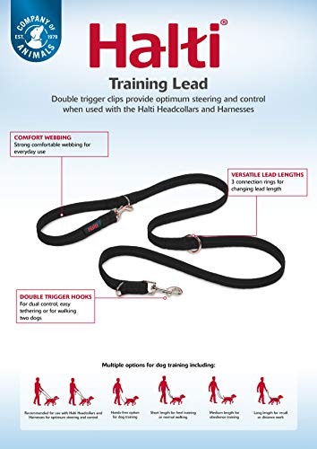 Halti Training Lead For Dogs, Double Ended Dog Training Leash For Halti Head Collar And No Pull Harness, Black Training Leash For Small Dogs And Medium Dogs #TOP5
