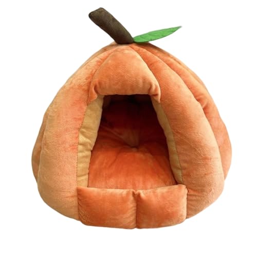 LnEX Lpxbh h[^ g[ GARK xbh}bg ybgnEX ybg K _炩 g pQ ~ ̌Lpegۉh (IWF̃J{`̑,M)