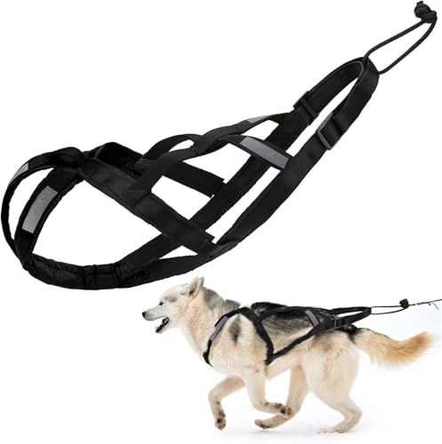 Pettorina da traino per cani, pettorina regolabile per cani per esercizi con slitta con strisce riflettenti per animali domestici, slittino, bikejoring, skijoring, corsa, canicross, scootering per