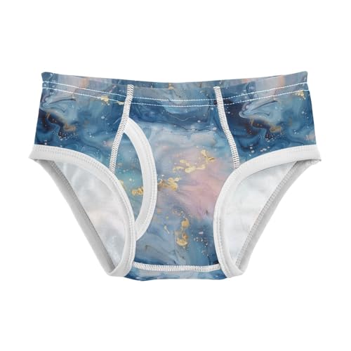 visesunny Boys Potty Training Underwear Blue Starry Night Watercolor Breathe Cotton Briefs Size 2T-8Y for Toddler