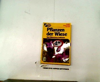Heillpflanzen