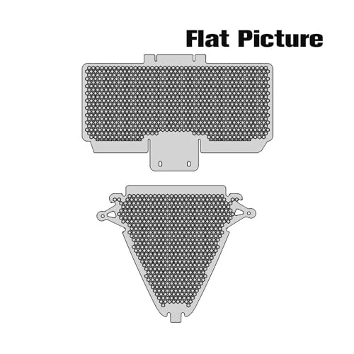 Grille de radiateur Panigale V2 finition haut de gamme durable - 4