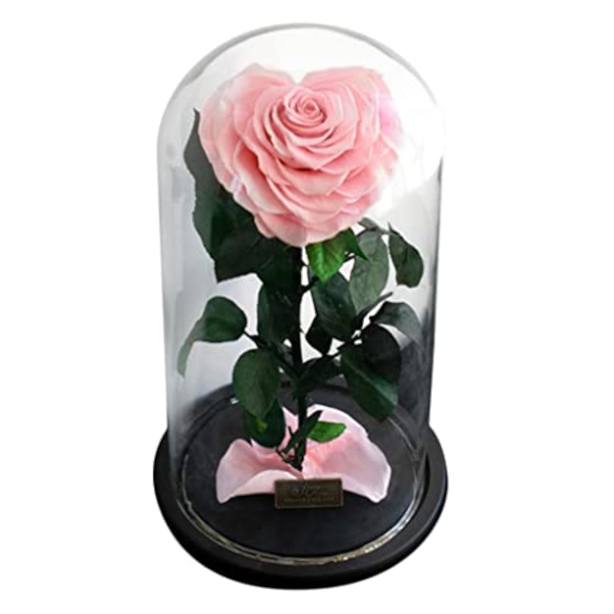Heart-Shaped Rose Preserved Flowers with Gift Box
