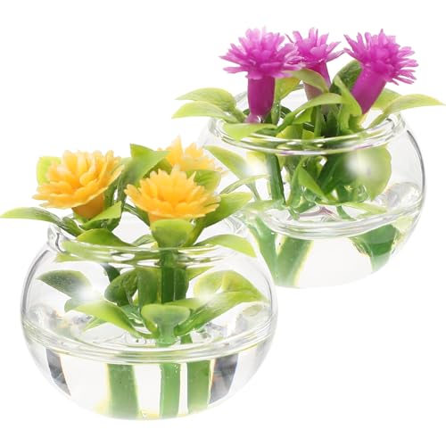 POPETPOP h[nEXANZT[ ~j`AAf KX^Aؔ ~jnEXp ~j~͕lHA ʐ^Be 2