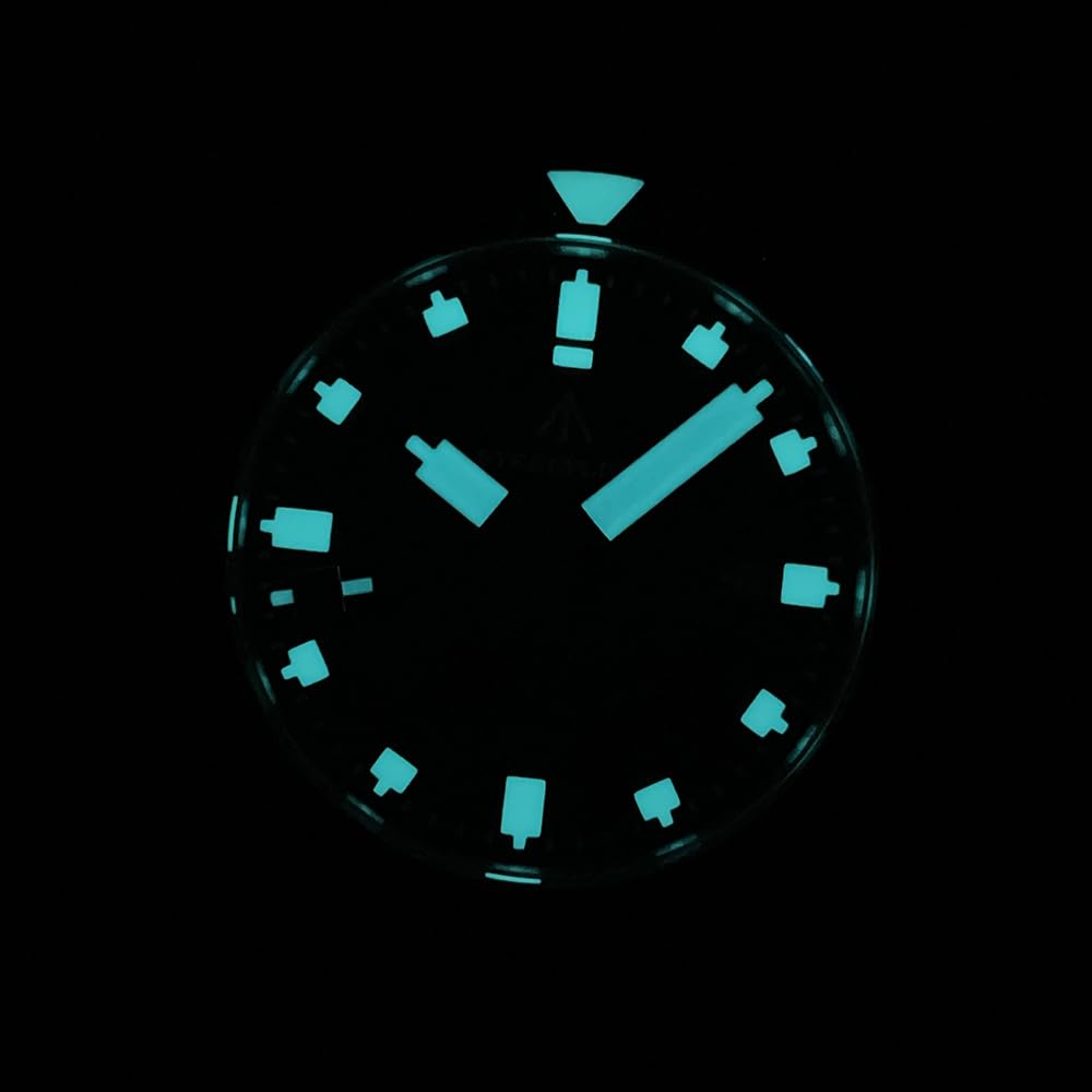 Burnside Steeldive Steelflier SF752, Schwarz, NH35, Saphir, Lume, Tauchen, Leder, BNIB