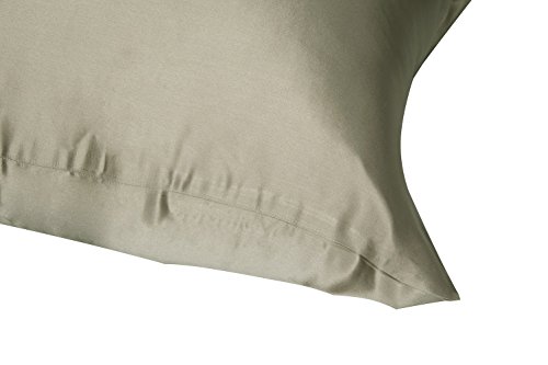 LULUSILK Federa per cuscino in 100% seta naturale