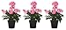 Produktbild DARO DEKO Kunst-Blume Geranie stehend 3 Stück rosa