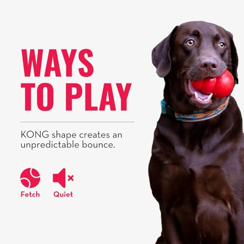 KONG Bounzer Hundespielzeug - Weich und Flexibel - Klassisches Design - Medium - Rot