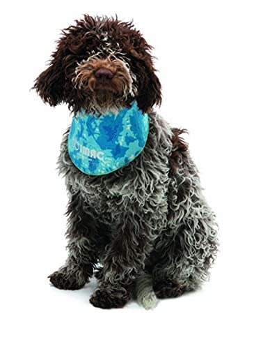 Glooke Selected iMac Medium 28X28 Bandane