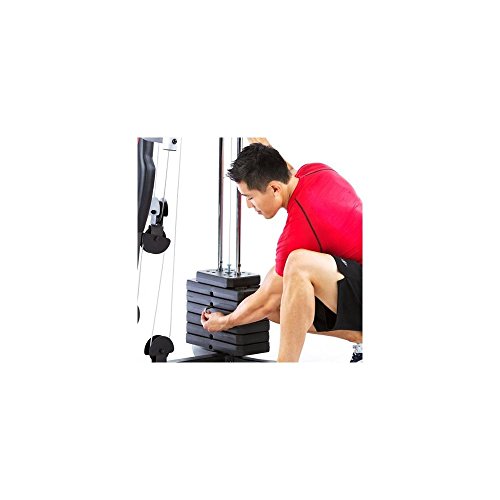 Weider 2980 x Weight System