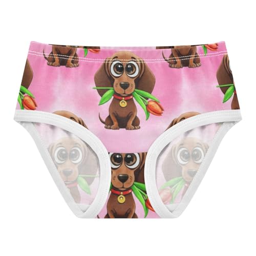 Cute Dachshunds Toddler Girls Underwear 2t Cotton Panties for Girl Personalized Underpants Briefs