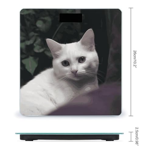 Báscula digital para baño con vidrio templado y pantalla LCD miniatura 2