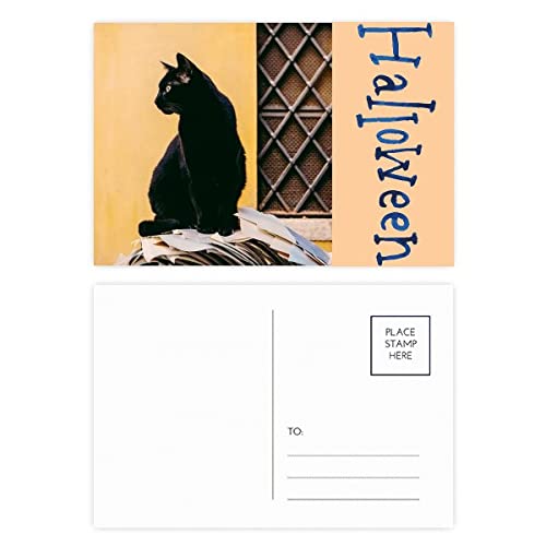 Cartes postales d'Halloween chat noir lot de 20 pour décorer vos soirées et invitations