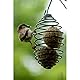 dobar® Meisenknödelhalter - Futterspirale für Meisenknödel - Vogelfutterspender aus Metall - Futtersäule für Wildvögel für Garten/Terrasse/Balkon - Ø 7,5 x 11 (26,5) cm - Grün