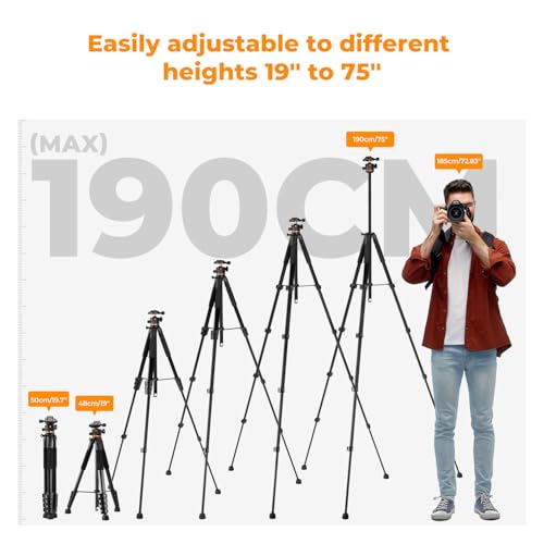 Image of K&F CONCEPT 75 inch /190cm Camera Tripod,Lightweight Travel Outdoor DSLR Tripods with 360 Degree Ball Head Load Capacity 8kg /17.6lbs,Cellphone Clip and Remote Control for Smartphone S255A3+BH-36