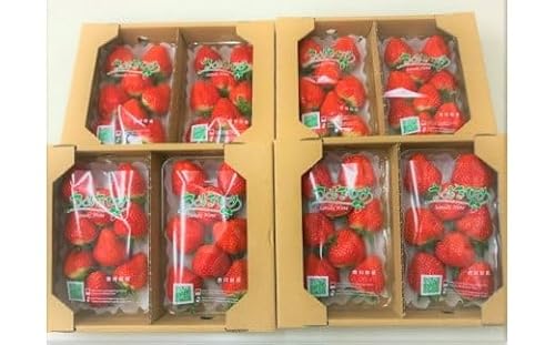 香川県オリジナル品種 さぬきひめいちご 約2kgパック[令和8年2月中旬頃より発送][B-50]