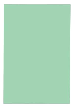School Smart Folding Bristol Tagboard,Green, 12" W x 18" L Pack of 100