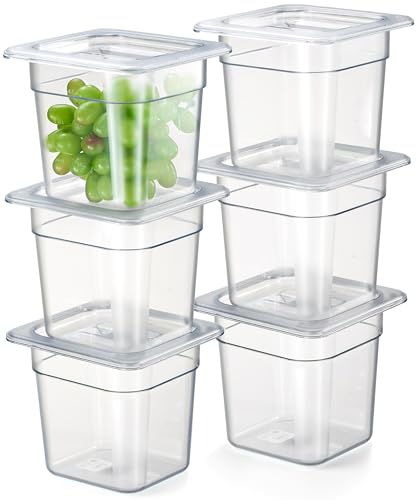 CURTA 6-Pack 1/6 Size 6