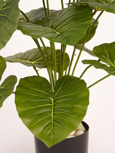 Image of ARICK DECOR Artificial Dieffenbachia Plant |Big Ornamental Plant Artificial Plant for Interior Decor /Home Decor /Office Decor|18 Leaves with Basic Black Pot (Green-AD-C)