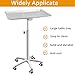 Salon Tray Extra Large Tattoo Tray Premium Stainless Steel Tray cart for Clinic Spa Dental，Rolling Hairstylist Tray Mayo Stand with Brake Wheels